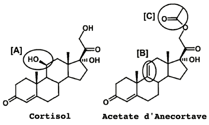 Formule chimique du cortisol et de l'acétate d'anécortave