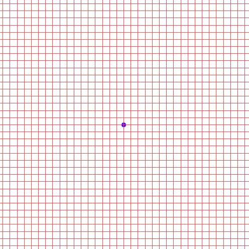 Grille d'Amsler