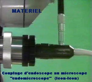 Couplage d'un endoscope au microscope