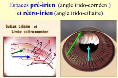 Espace pré-irien et rétro-irien