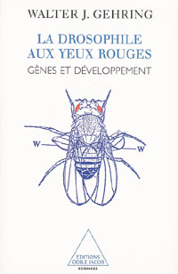 La drosophile aux yeux rouges